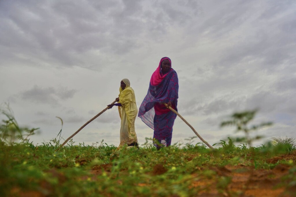 العنف الجنسي ضد السودانيات في زمن الحرب: فصول مأساة لم تنته بعد