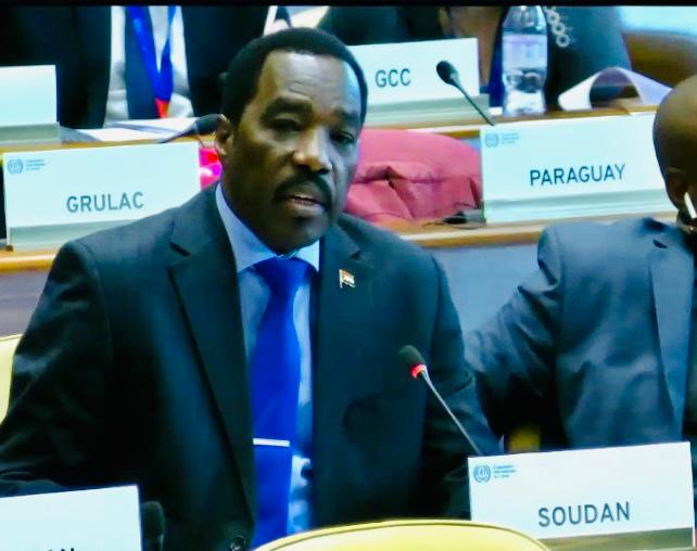 وزير الموارد البشرية والرعاية الاجتماعية يقدم بيان السودان  في اجتماعات مجلس ادارة منظمة العمل الدولية بحنيف